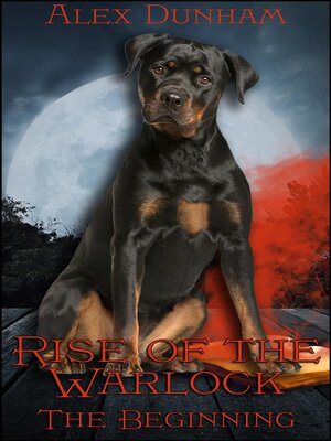 cover image of Rise of the Warlock--The Beginning
